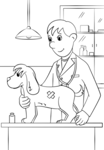 ветеринар осматривающий собаку